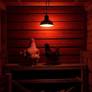 Инфракрасная лампа для обогрева птиц и животных, 250 Вт, цоколь Е27 Огонёк OG-LDP42В